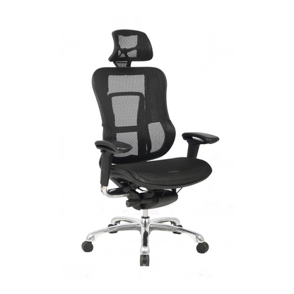 Chaise de bureau en maille avec appui-tête réglable, accoudoirs réglables et base en aluminium